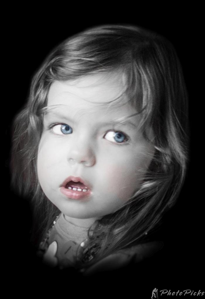 Photo 11 in Tinted Monochrome